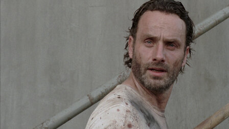 The Walking Dead Netflix