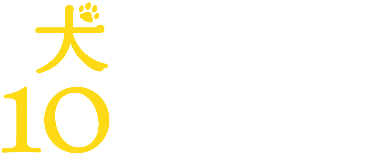 犬と私の10の約束 Netflix 犬と私の10の約束 Netflix